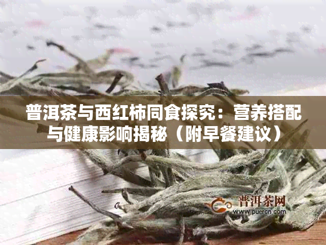 普洱茶与西红柿同食探究:营养搭配与健康影响揭秘(附早餐建议)