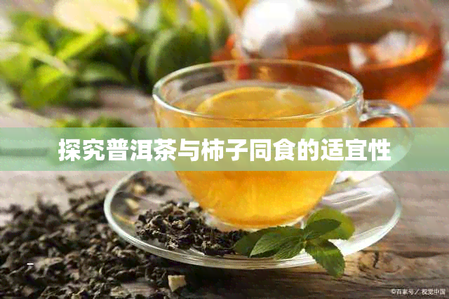 探究普洱茶与柿子同食的适宜性