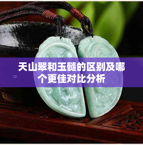 天山翠和玉髓的区别及哪个更佳对比分析
