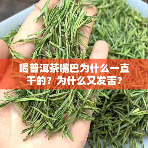 喝普洱茶嘴巴为什么一直干的?为什么又发苦?