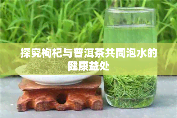 探究枸杞与普洱茶共同泡水的健康益处