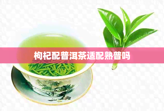 枸杞配普洱茶适配熟普吗 枸杞配普洱茶适配熟普吗