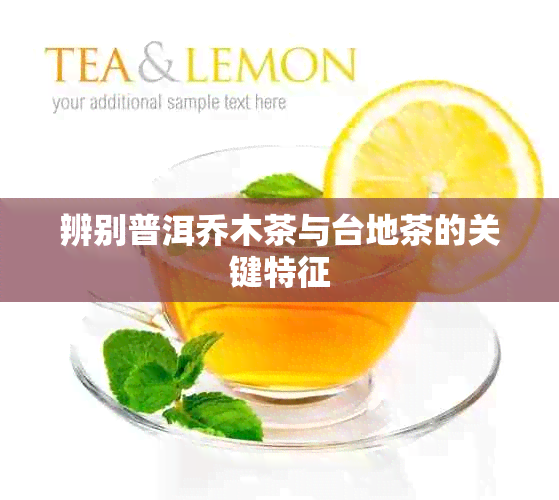 辨别普洱乔木茶与台地茶的关键特征