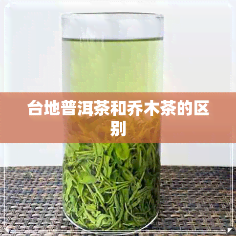 台地普洱茶和乔木茶的区别 台地普洱茶和乔木茶的区别
