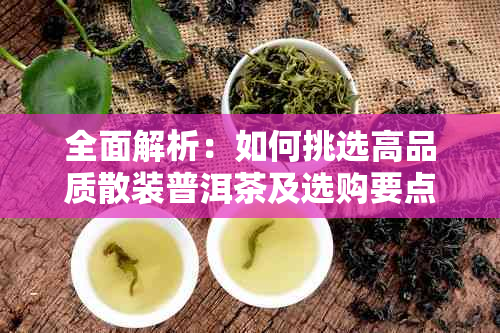 全面解析:如何挑选高品质散装普洱茶及选购要点