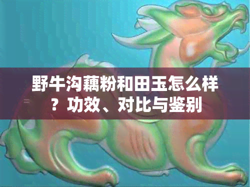 野牛沟藕粉和田玉怎么样?功效、对比与鉴别