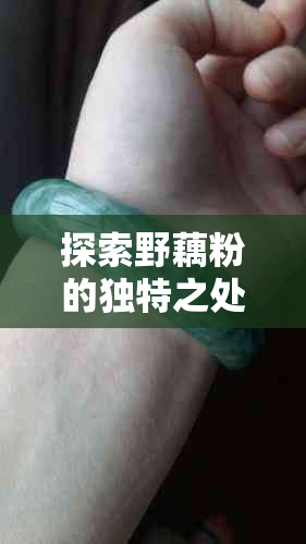 探索野藕粉的独特之处与制作工艺