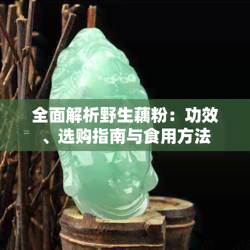 全面解析野生藕粉:功效、选购指南与食用方法