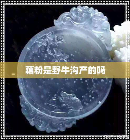 藕粉是野牛沟产的吗 藕粉是野牛沟产的吗