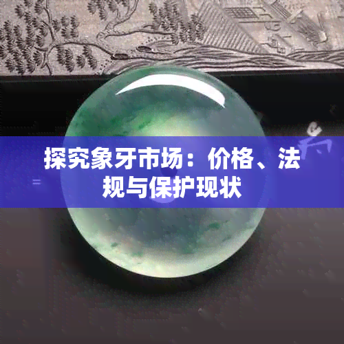 探究象牙市场:价格、法规与保护现状