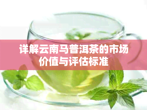 详解云南马普洱茶的市场价值与评估标准