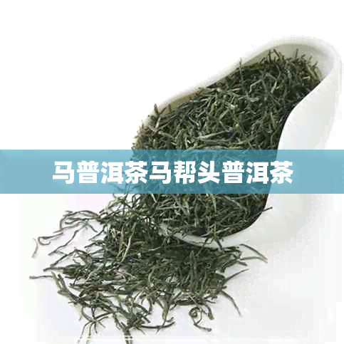 马普洱茶马帮头普洱茶