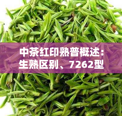 中茶红印熟普概述:生熟区别、7262型号及市场价格