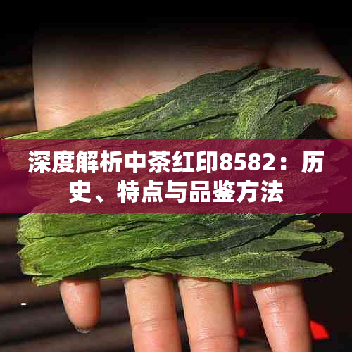 深度解析中茶红印8582:历史、特点与品鉴方法