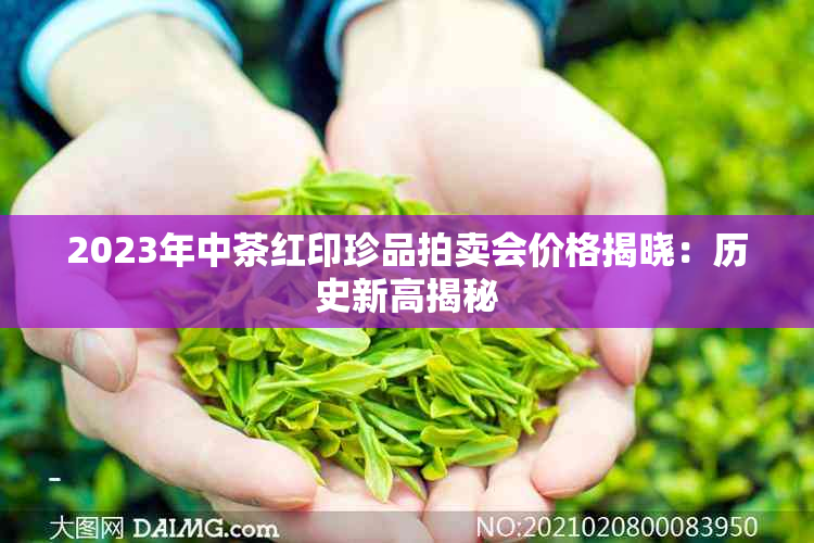 2023年中茶红印珍品拍卖会价格揭晓:历史新高揭秘
