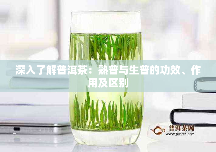 深入了解普洱茶:熟普与生普的功效、作用及区别