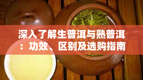 深入了解生普洱与熟普洱:功效、区别及选购指南