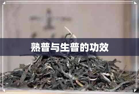 熟普与生普的功效 熟普与生普的功效