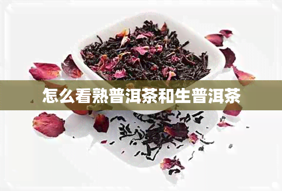 怎么看熟普洱茶和生普洱茶 怎么看熟普洱茶和生普洱茶