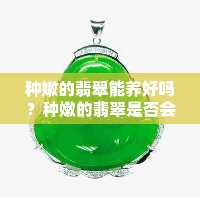 种嫩的翡翠能养好吗?种嫩的翡翠是否会变种及用途解析