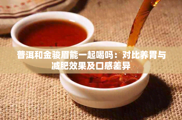 普洱和金骏眉能一起喝吗:对比养胃与减肥效果及口感差异