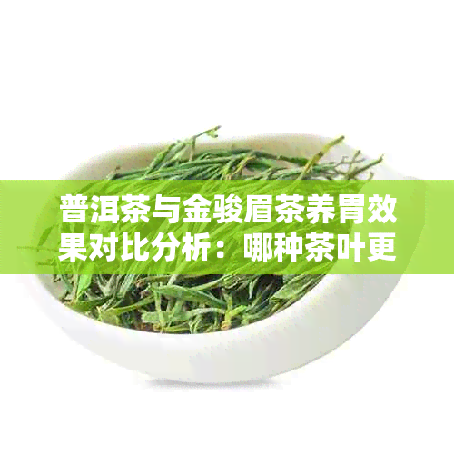普洱茶与金骏眉茶养胃效果对比分析:哪种茶叶更适合胃部保健?