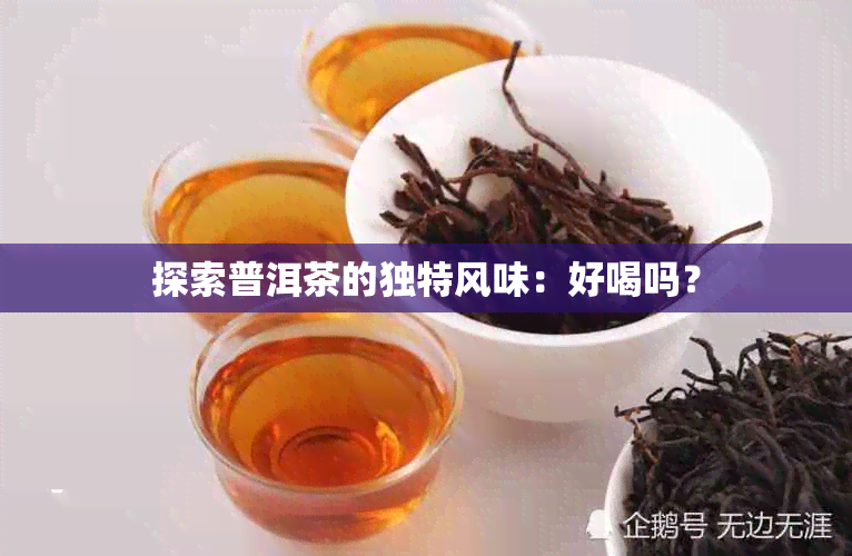 探索普洱茶的独特风味：好喝吗？