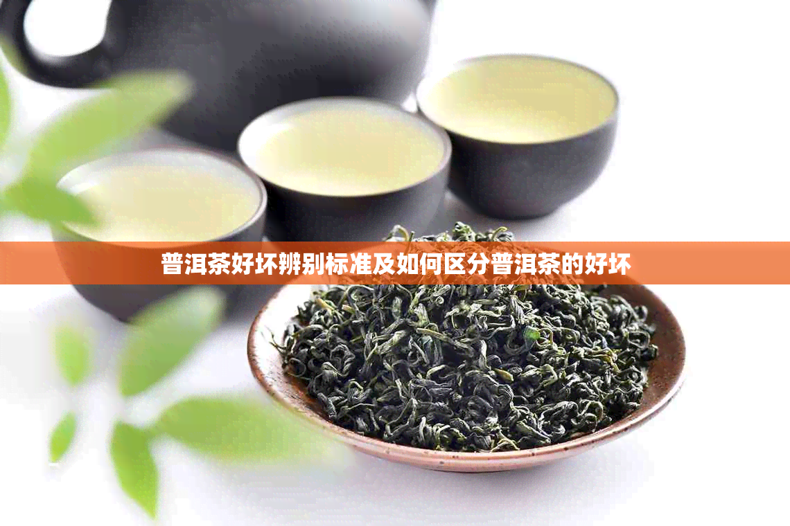 普洱茶好坏辨别标准及如何区分普洱茶的好坏