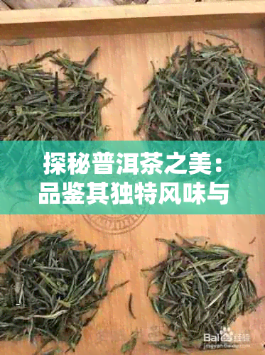 探秘普洱茶之美：品鉴其独特风味与魅力