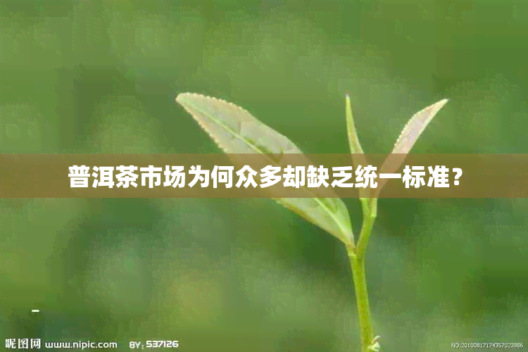 普洱茶市场为何众多却缺乏统一标准?