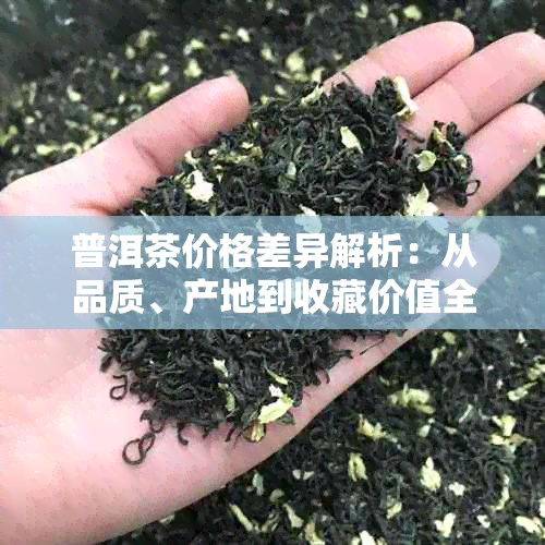 普洱茶价格差异解析:从品质、产地到收藏价值全方位揭秘