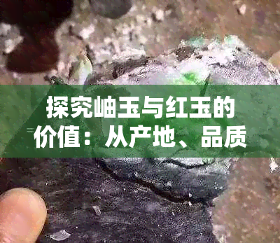 探究岫玉与红玉的价值:从产地、品质到评估方法全解析