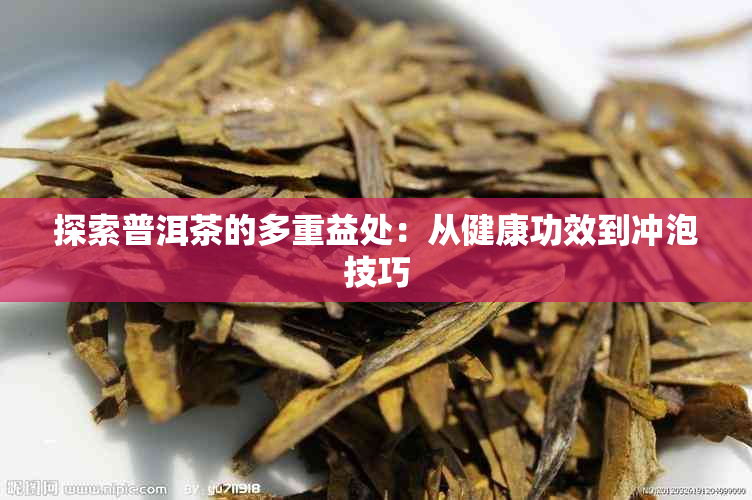 探索普洱茶的多重益处:从健康功效到冲泡技巧
