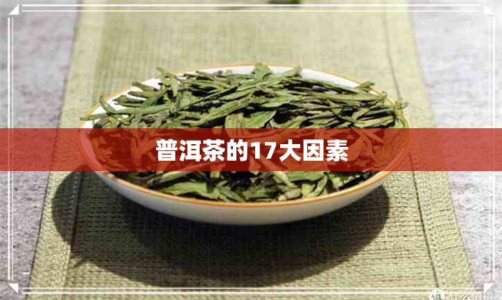 普洱茶的17大因素 普洱茶的17大因素