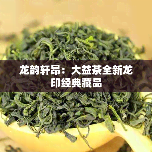 龙韵轩昂:大益茶全新龙印经典藏品