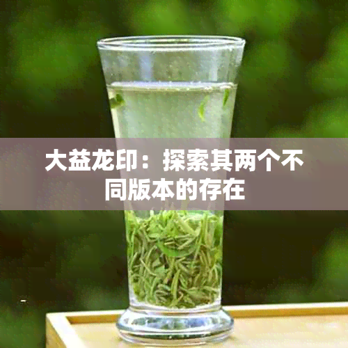 大益龙印:探索其两个不同版本的存在