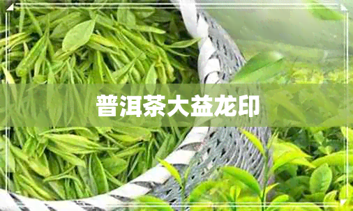 普洱茶大益龙印 普洱茶大益龙印