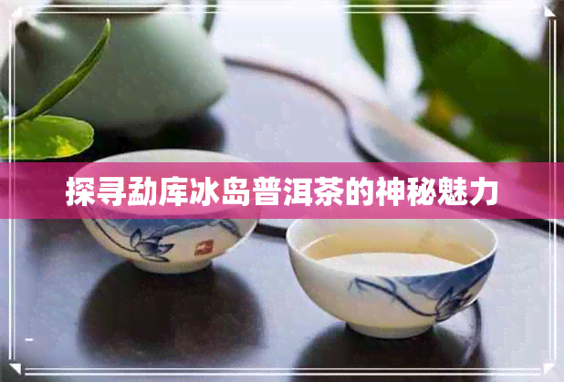 探寻勐库冰岛普洱茶的神秘魅力 探寻勐库冰岛普洱茶的神秘魅力