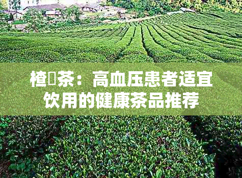 楂樿茶:高血压患者适宜饮用的健康茶品推荐