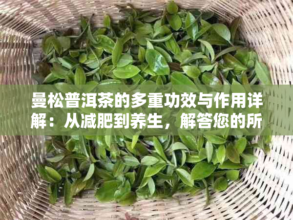 曼松普洱茶的多重功效与作用详解:从减肥到养生,解答您的所有疑问