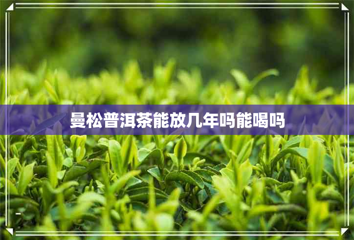 曼松普洱茶能放几年吗能喝吗 曼松普洱茶能放几年吗能喝吗