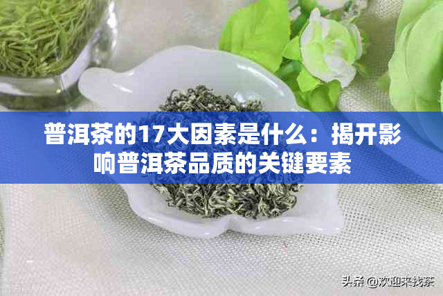 普洱茶的17大因素是什么:揭开影响普洱茶品质的关键要素