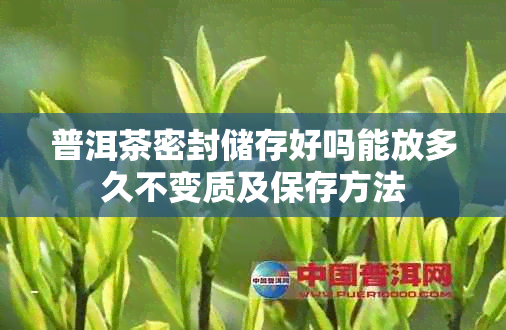 普洱茶密封储存好吗能放多久不变质及保存方法