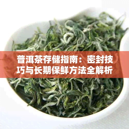 普洱茶存储指南:密封技巧与长期保鲜方法全解析