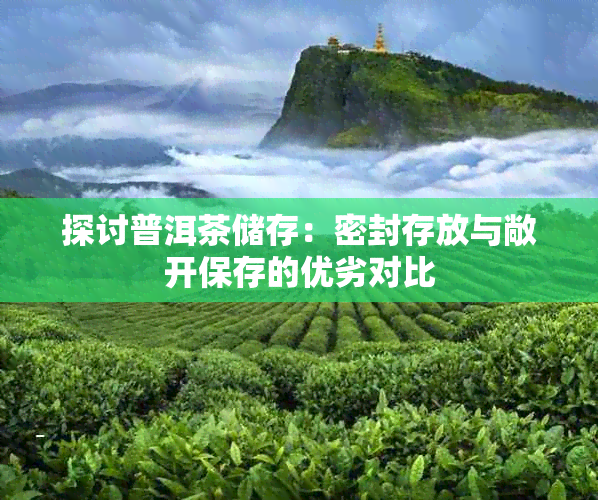 探讨普洱茶储存:密封存放与敞开保存的优劣对比