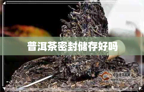 普洱茶密封储存好吗 普洱茶密封储存好吗