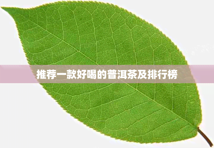 推荐一款好喝的普洱茶及排行榜