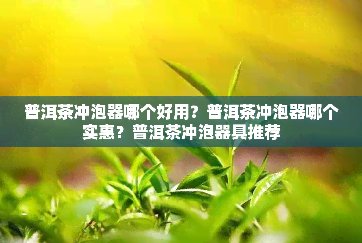 普洱茶冲泡器哪个好用?普洱茶冲泡器哪个实惠?普洱茶冲泡器具推荐