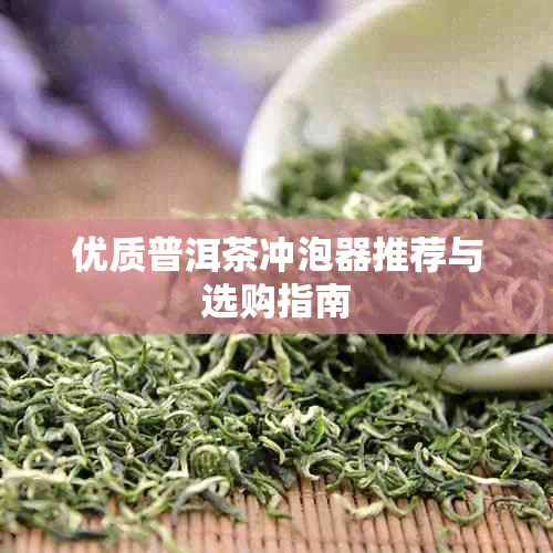 优质普洱茶冲泡器推荐与选购指南
