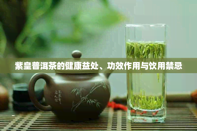 紫皇普洱茶的健康益处、功效作用与饮用禁忌